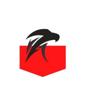 KS SOKOL - logo